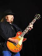 Artis Lynyrd Skynyrd